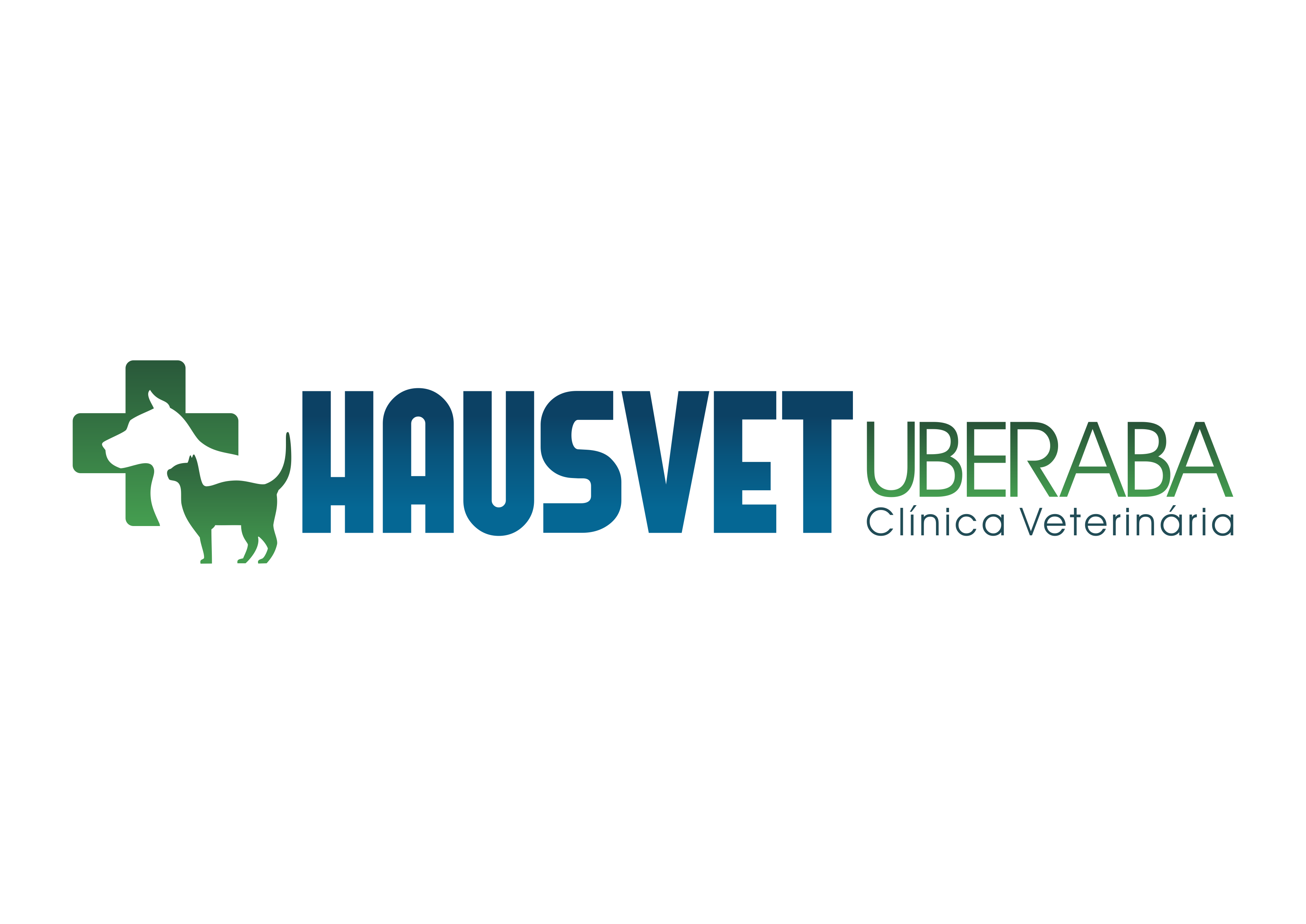 HAUSVET - Clínica Veterinária em Uberaba - MG